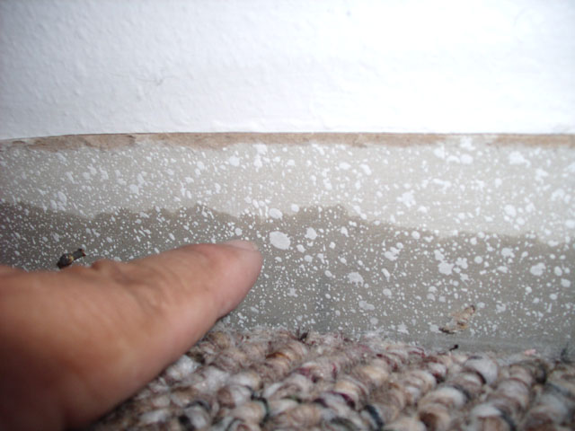 Water Damage Cape Coral